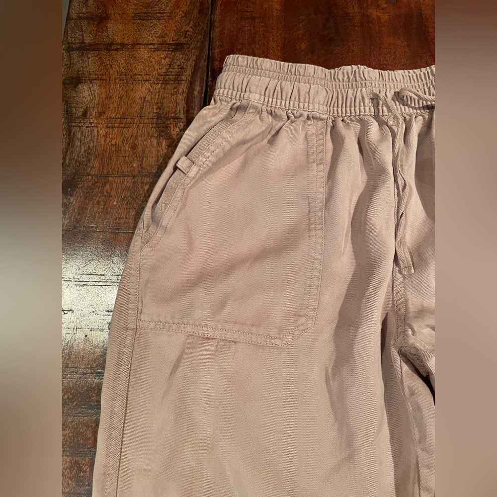 Thread & Supply Tan Joggers